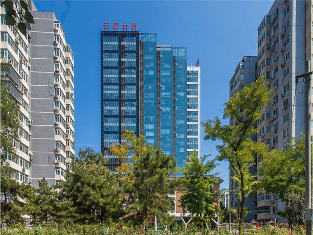 青浦酒店绿植租赁保养