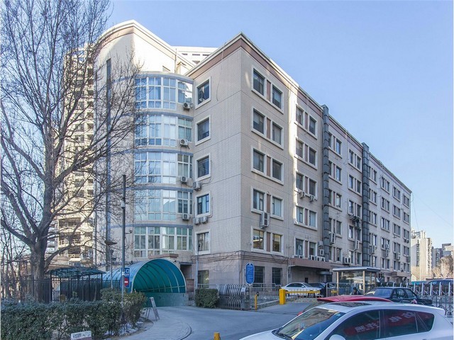 广西泡药机加药装置零售价